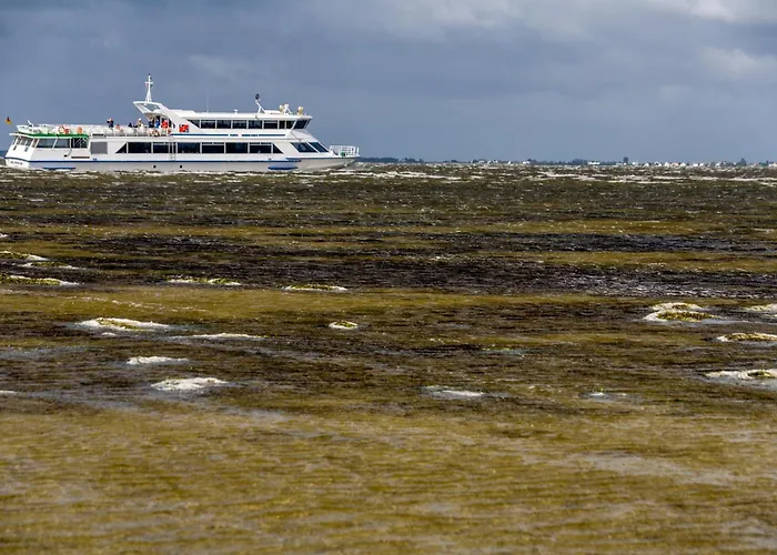 2 * אלטנקירכן